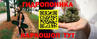 твердый Лесосибирск