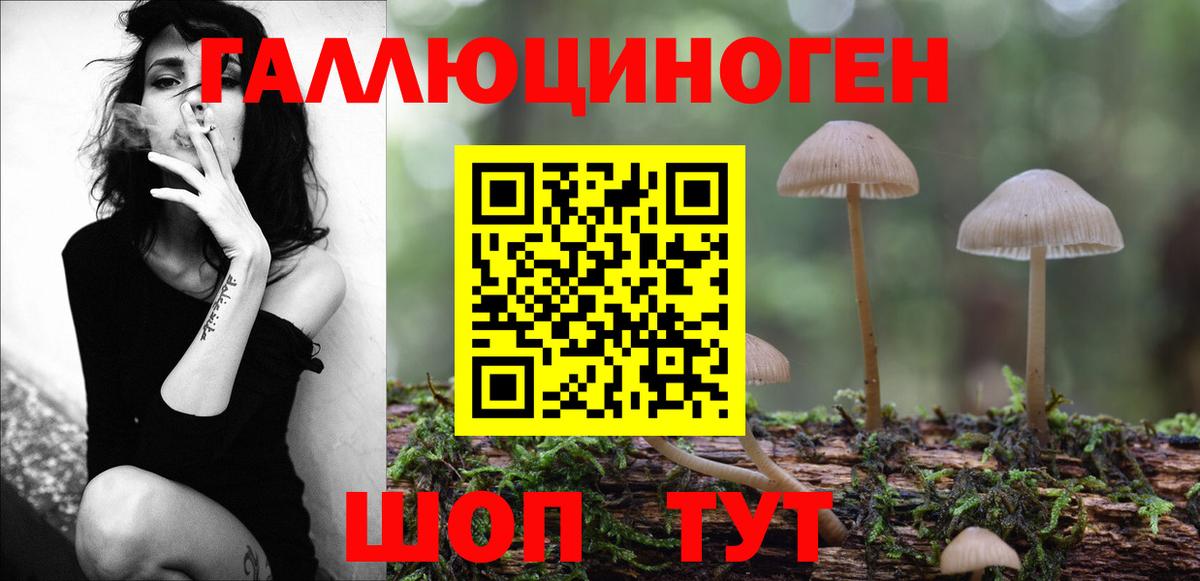 Галлюциногенные грибы GOLDEN TEACHER  Вход с VPN  Зерноград  Галлюциногенные грибы мухоморы 